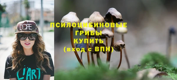 ГАЛЛЮЦИНОГЕННЫЕ ГРИБЫ Волоколамск