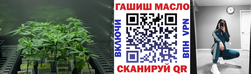 МЕГА рабочий сайт Дмитров ТГК вейп сколько стоит