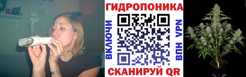 Каннабис марихуана Дмитров